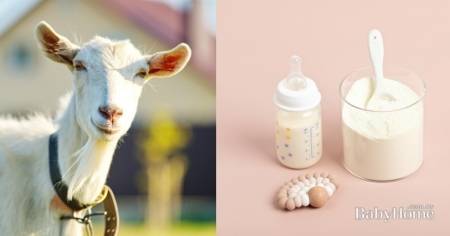 三大最受歡迎的嬰幼兒羊奶粉：卡洛塔妮、貝比卡兒、惠氏啟賦羊，配方、特色、口碑一次看