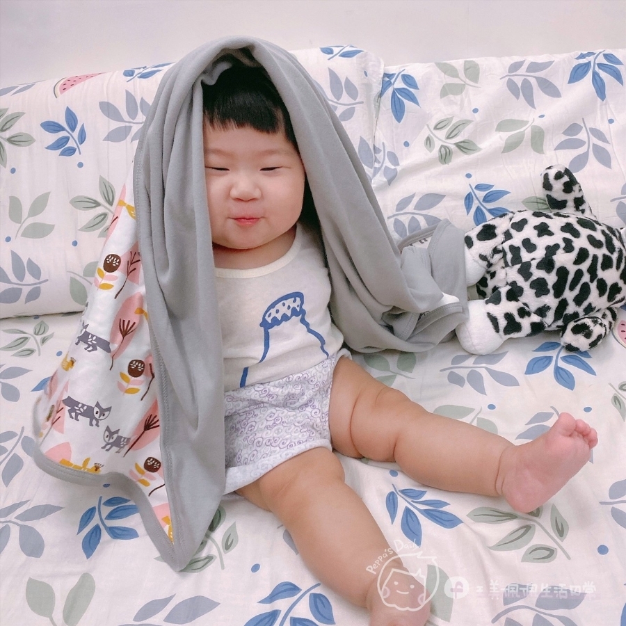 『育兒好物推薦』給寶寶最好的◈荷蘭FRESK有機棉嬰兒毯 ◈_img_2