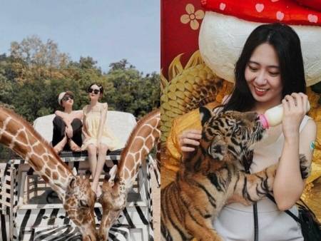 泰國曼谷必去三大動物園，和長頸鹿合照，小老虎近距離餵奶｜交通、購票、參觀路線